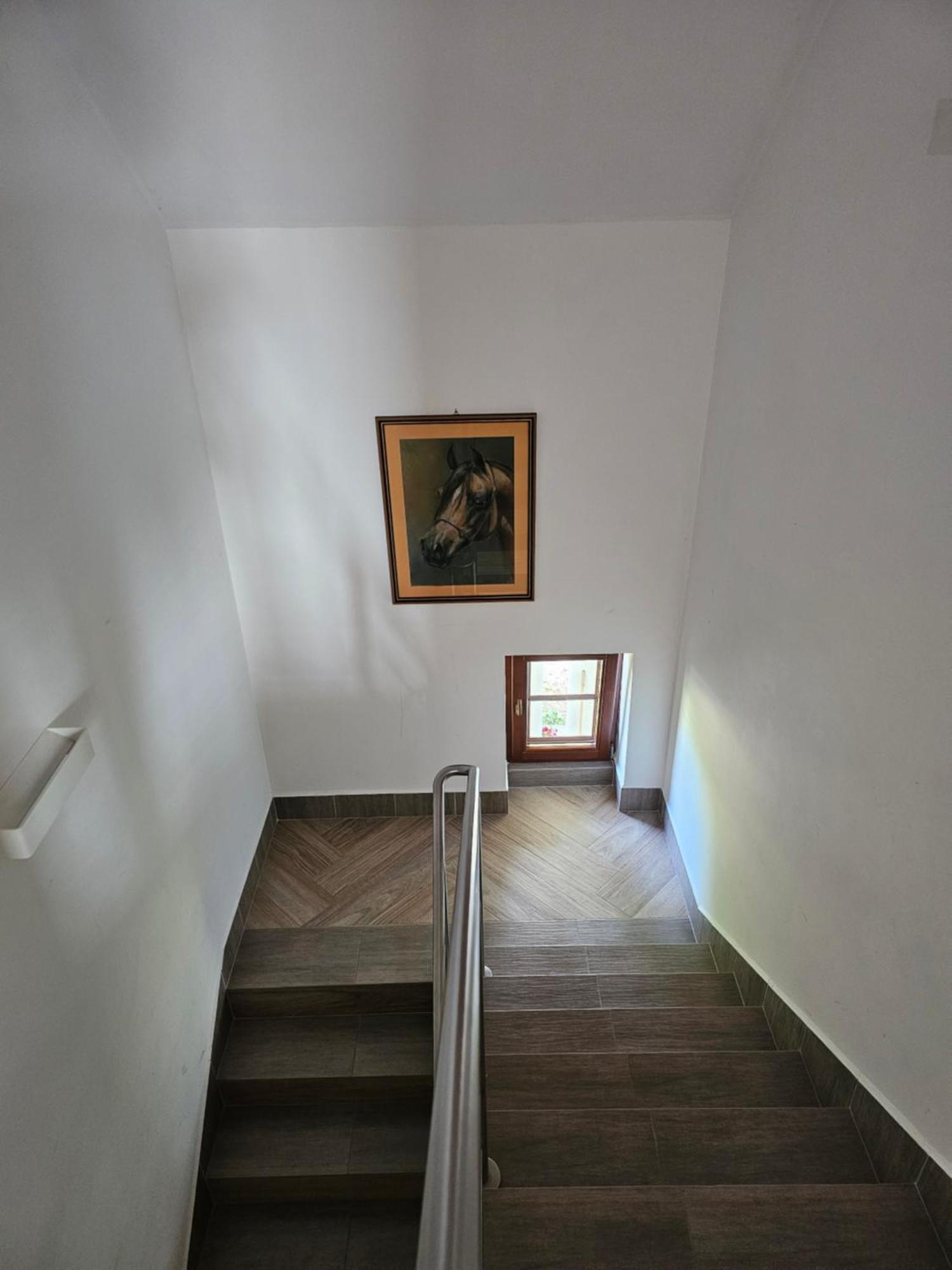 Kaszmir Janow Podlaski